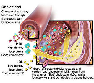 reduce-cholesterol | Blogfinger