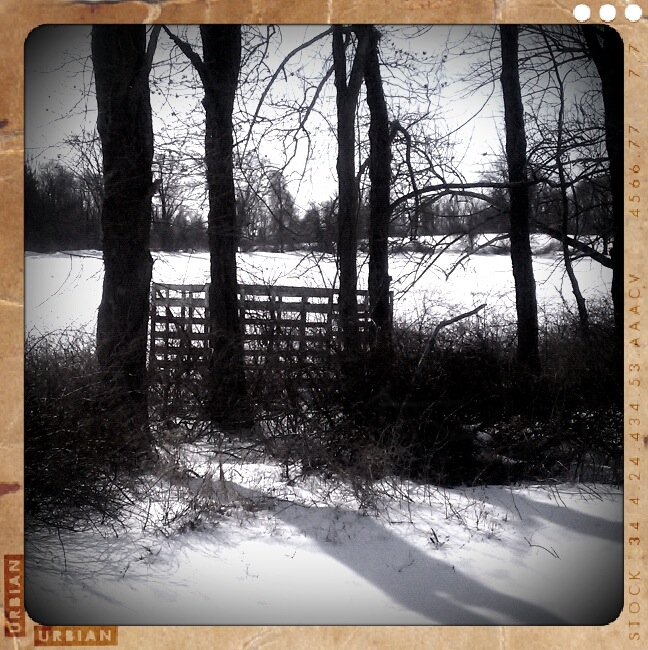 Chester Township, NJ