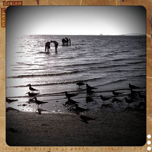 Bunche Beach Blogfinger