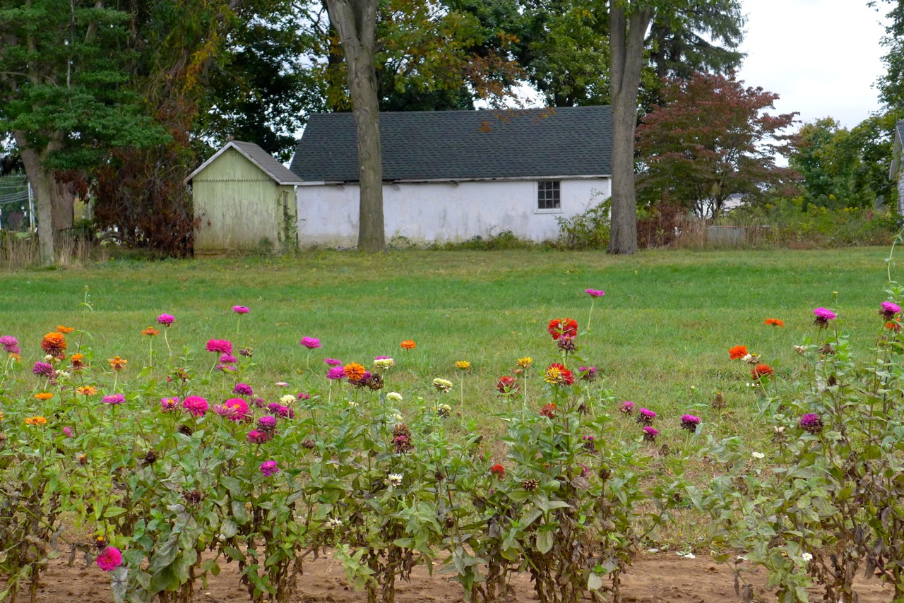 It’s not Alabama, it’s Colt’s Neck—but the stars are the same.