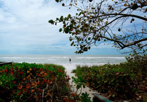 Naples Florida, southwest Florida. Paul Goldfinger © March 2016. 