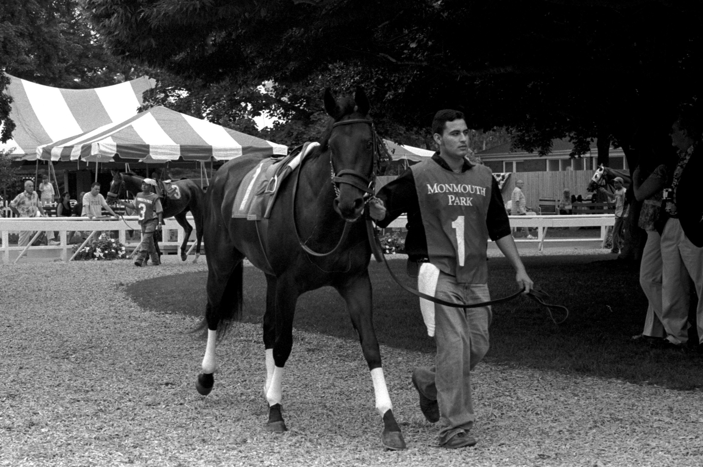 A horse is a horse, of course……